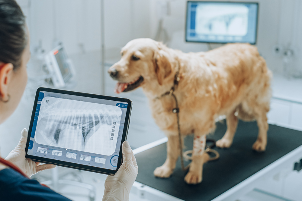 중재적시술센터 시설