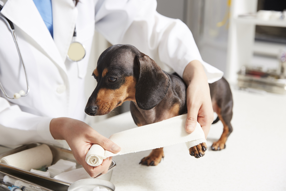 정형수술센터 시설