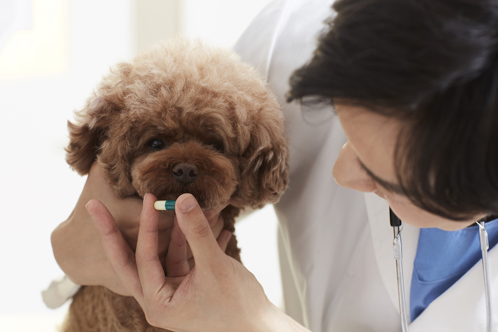 내과진료센터 시설